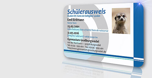Schülerausweis - jetzt bestellen und in den Sommerferien sparen