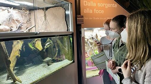 Im Klimahaus Bremerhaven gibt es auch interessante Tiere zu beobachten. Besuch im Klimahaus - Schüler betrachten Terrarien