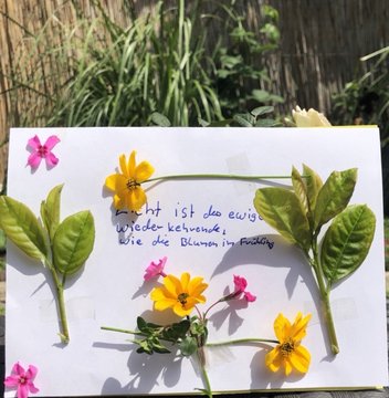 Frühlings-Collagen (Jg. 5)